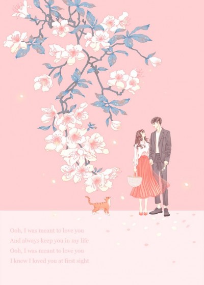 ����ȫ����Ѷ�