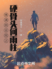 �����ĺ�Ժ֮Ӳ��ͷ������